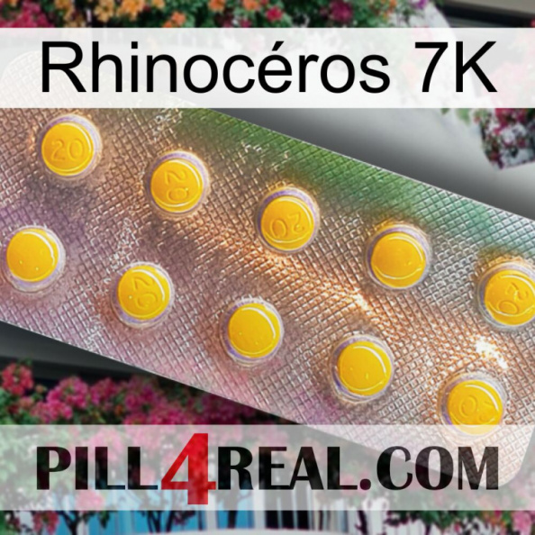 Rhinocéros 7K new11